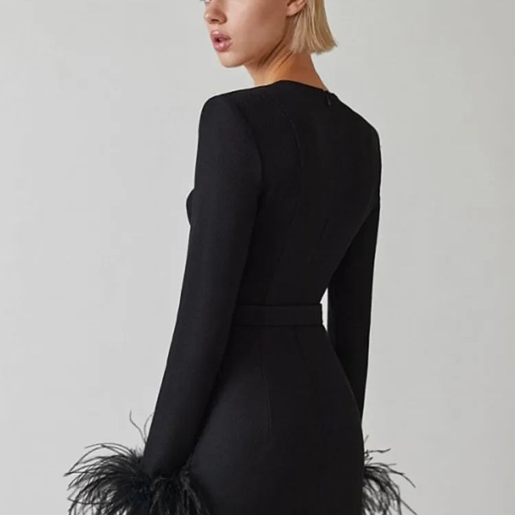 Women's Corset Mini Dress with Feather Cuffs